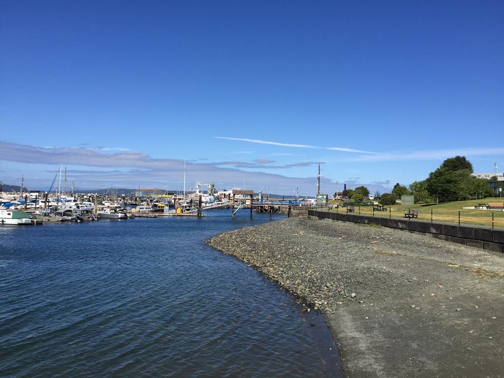 Haida Way Motor Inn Port McNeill Exteriör bild