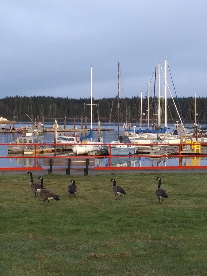 Haida Way Motor Inn Port McNeill Exteriör bild